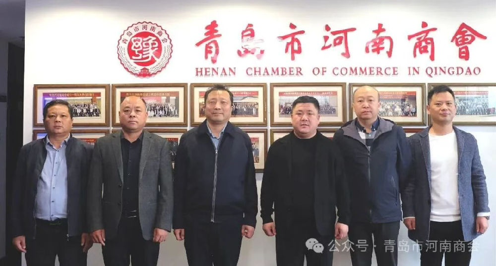 共商鲁豫产业合作新篇章 | 热烈欢迎河南省鹤壁市商务局领导莅临青岛市河南商会考察指导
